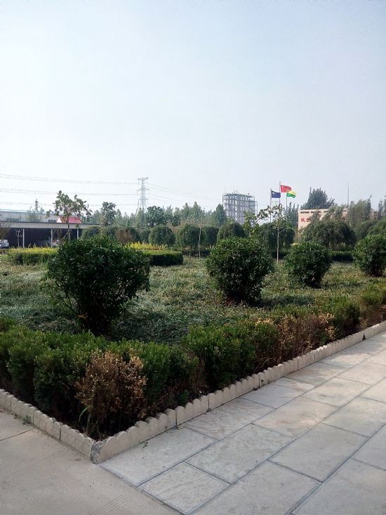 公司实景24