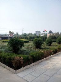 公司实景24